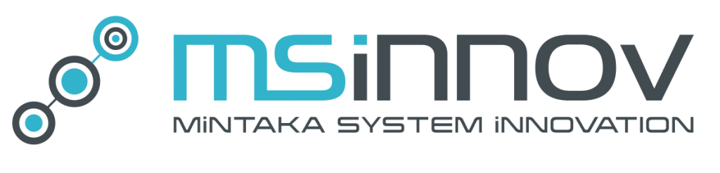 msinnnov logo